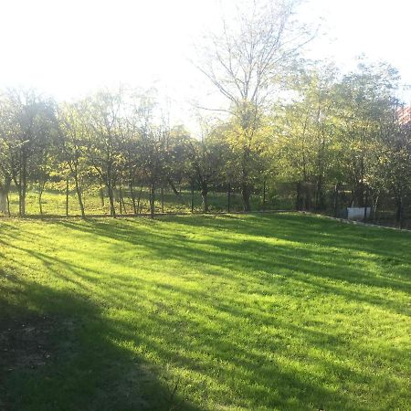 Green Nest Banesti ภายนอก รูปภาพ