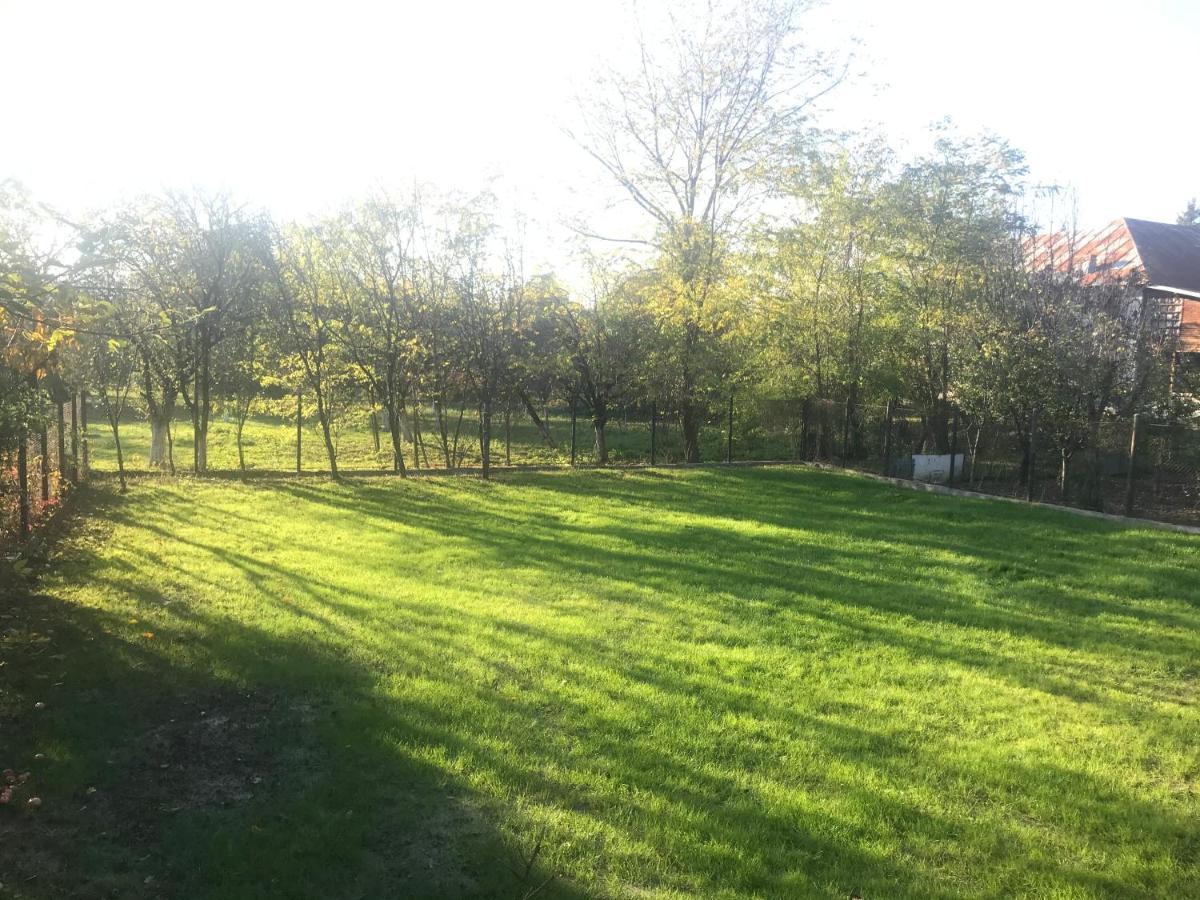 Green Nest Banesti ภายนอก รูปภาพ