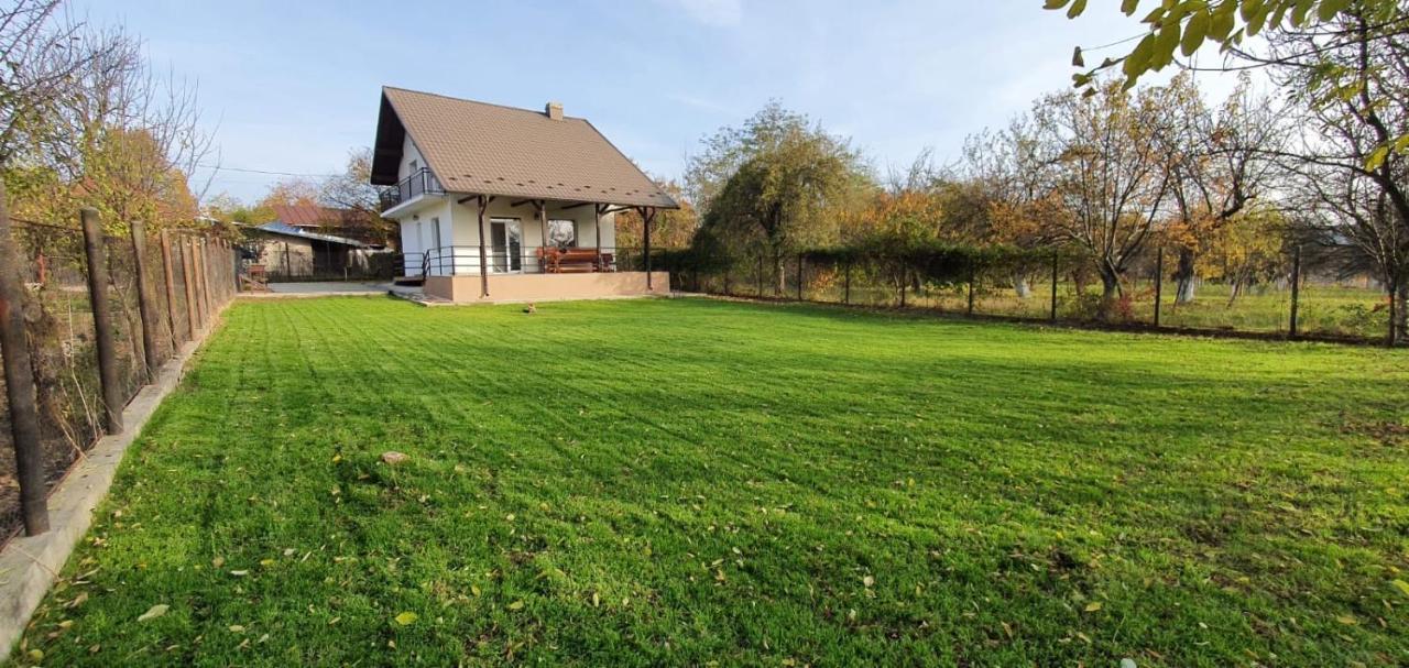 Green Nest Banesti ภายนอก รูปภาพ
